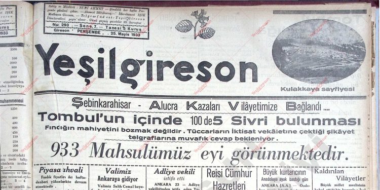 25 Mayıs 1933 – Sayı 293